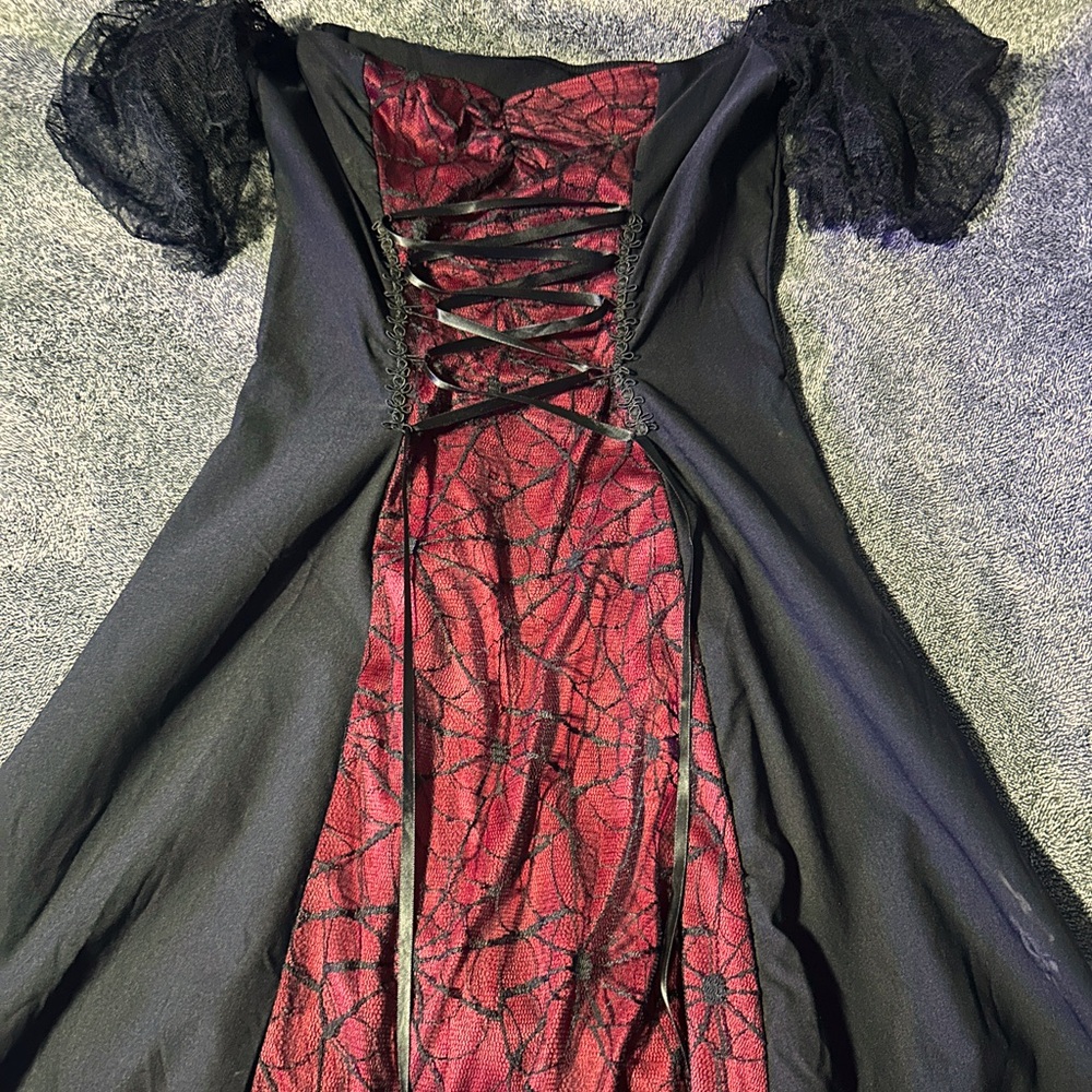 Colorblock Spider Lace Panel Dress